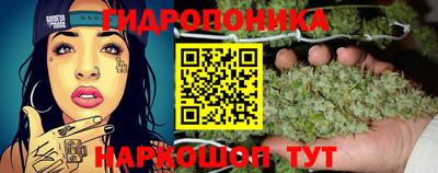 a pvp Апшеронск