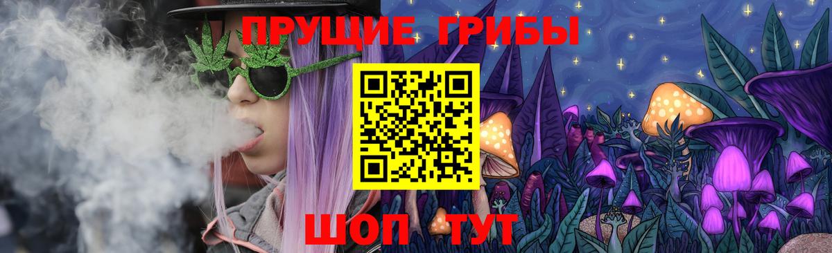 Балахна  Псилоцибиновые грибы мицелий  Вход с VPN  Псилоцибиновые грибы Psilocybe 